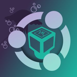 نصب ویندوز ۲۰۰۳ در سرور Virtual Box